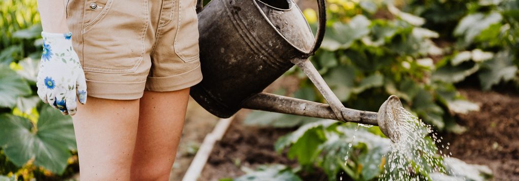 Home Gardening